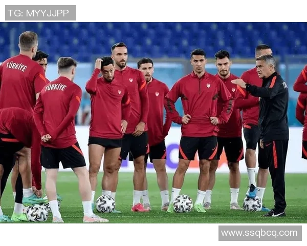 土耳其当家足球球星的崛起与未来发展潜力分析