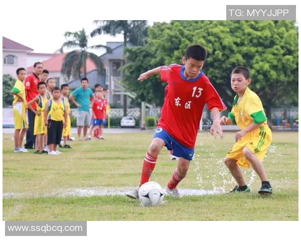 安徽庐江足球文化崛起:球星助力地方足球发展与青训系统建设 安徽庐江足球文化崛起:球星助力地方足球发展与青训系统建设